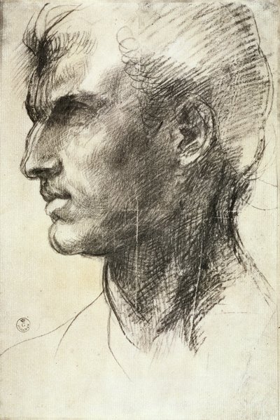 Study of a Male Head by Andrea del Sarto